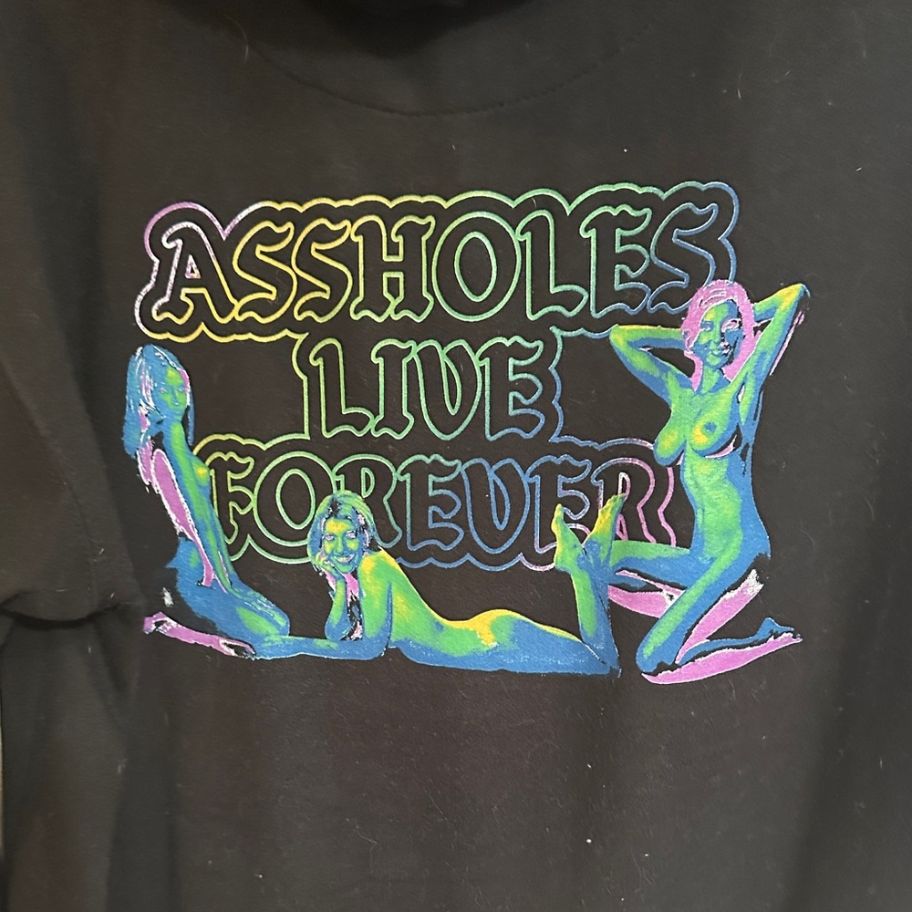 Assholes Live Forever cosmic hoodie